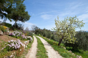 Poggio Diavolino - Suvereto